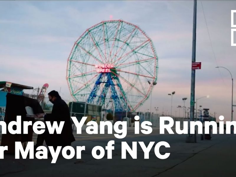 Andrew Yangs nya karriär